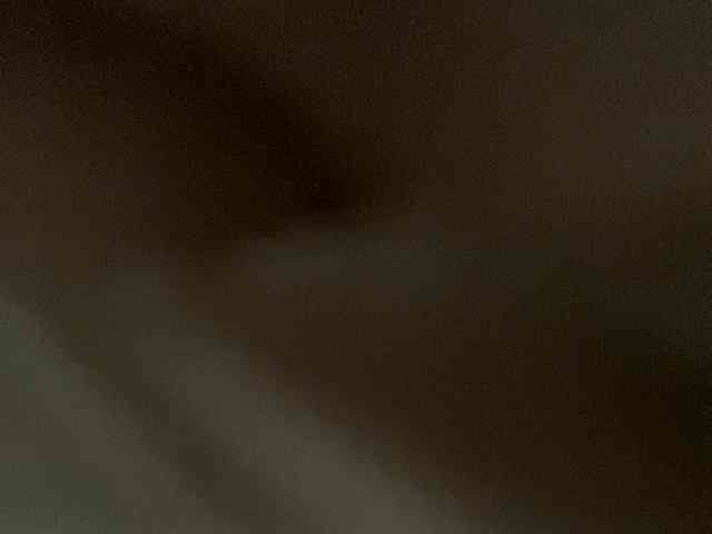 Rainie webcam