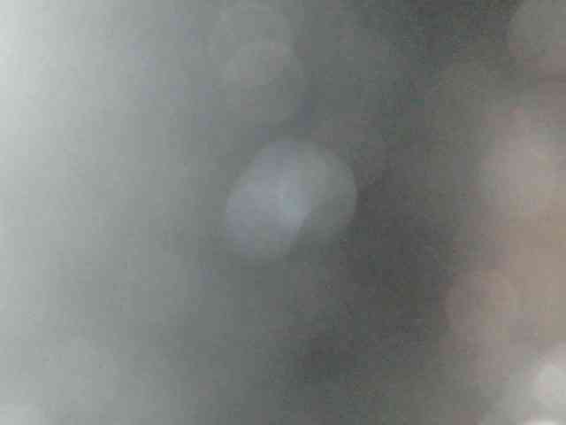MoonFlowers webcam