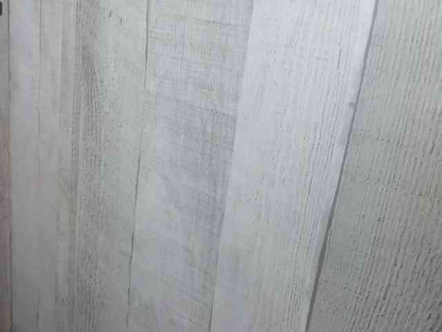 Rainie webcam
