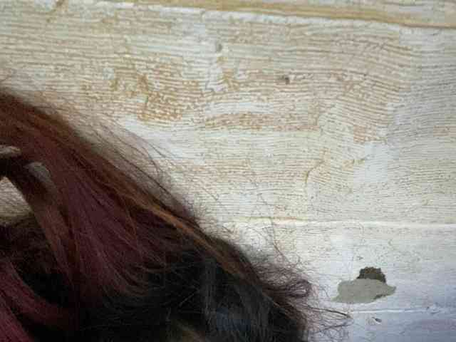 Rainie webcam