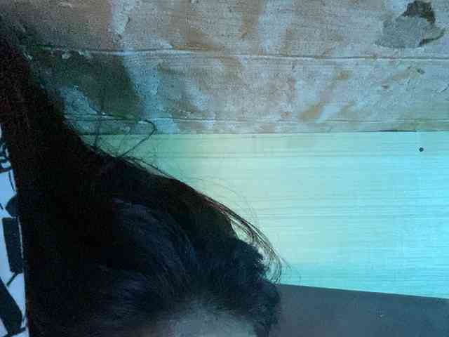 Rainie webcam