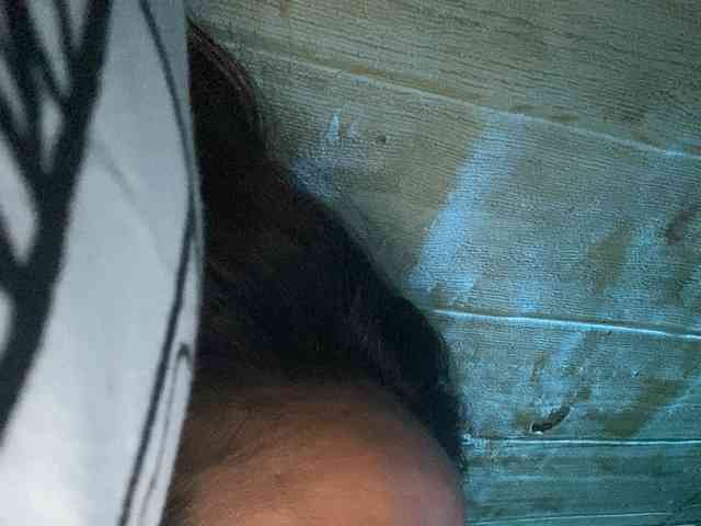 Rainie webcam