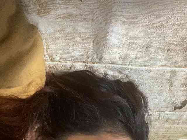 Rainie webcam