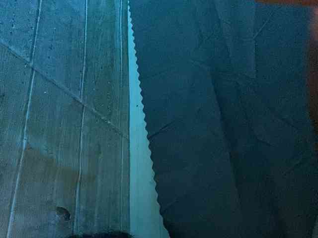 Rainie webcam