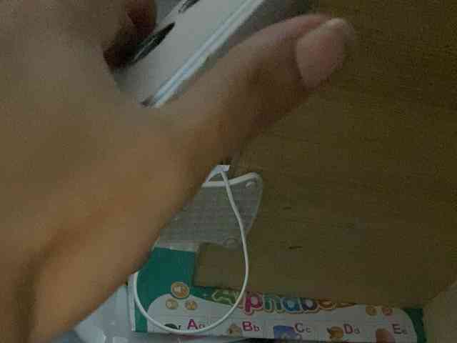Rainie webcam
