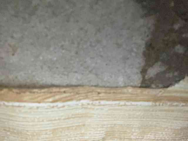 Rainie webcam