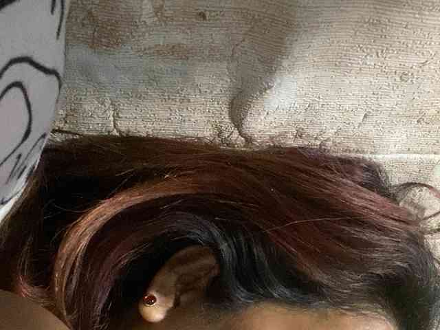 Rainie webcam
