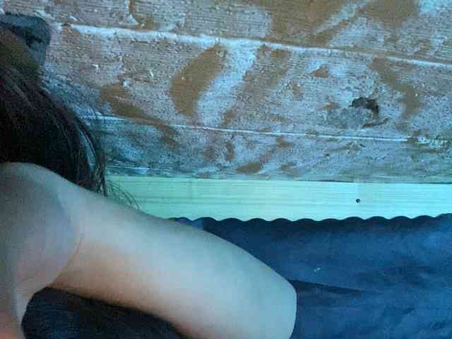 Rainie webcam