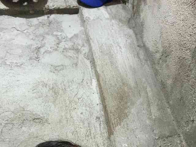 Rainie webcam