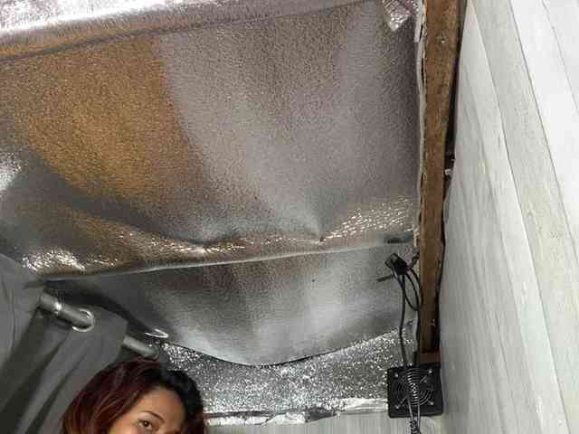 Rainie
