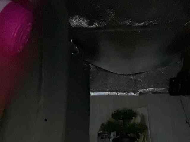 Rainie webcam
