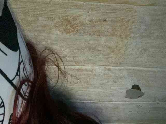 Rainie webcam