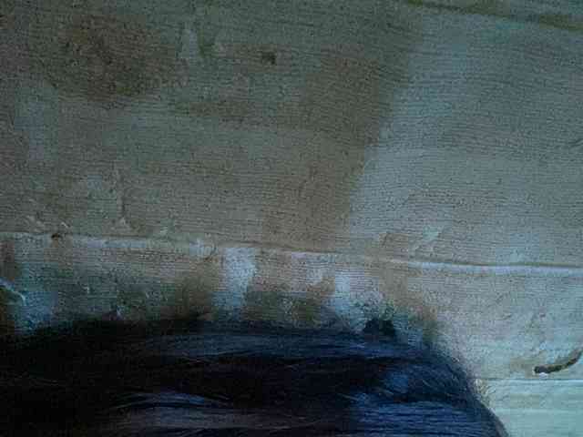 Rainie webcam