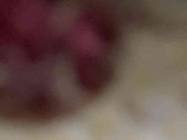 Rainie webcam