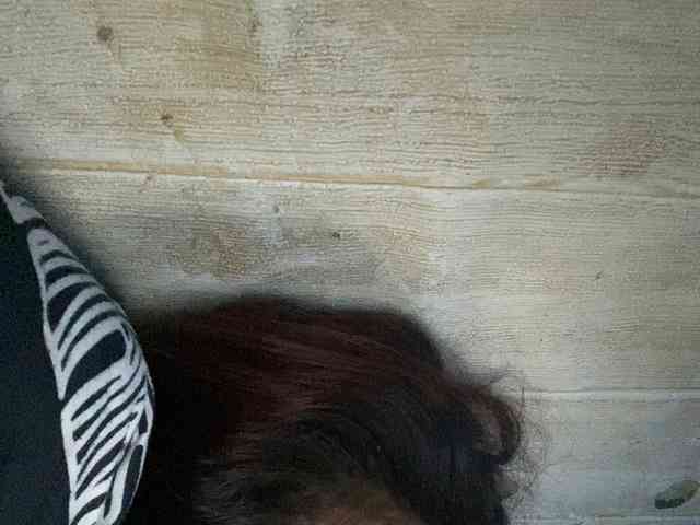Rainie webcam
