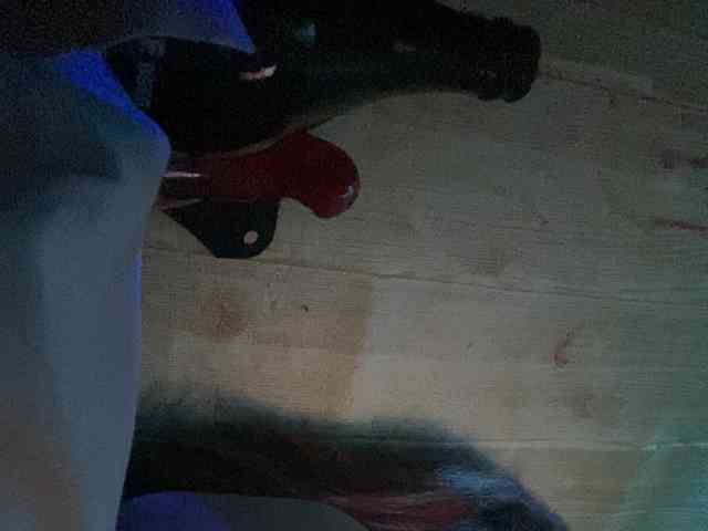Rainie webcam
