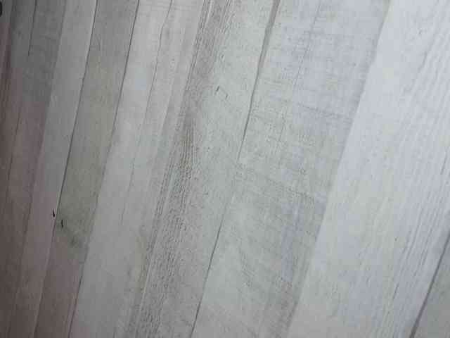 Rainie webcam