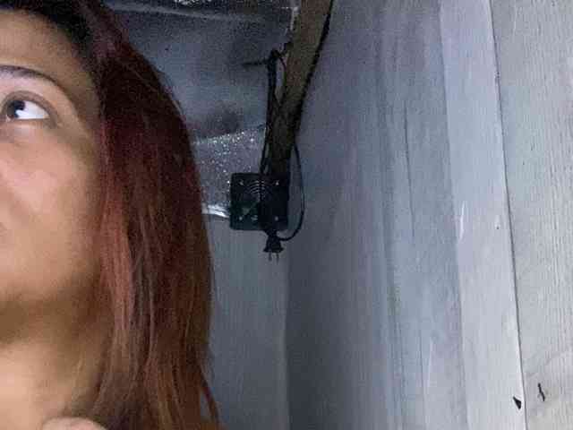 Rainie webcam
