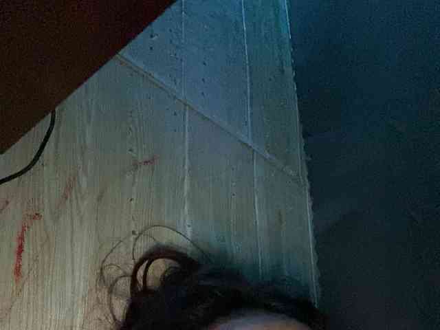 Rainie webcam
