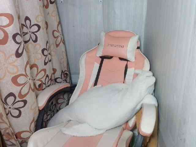 Rainie webcam