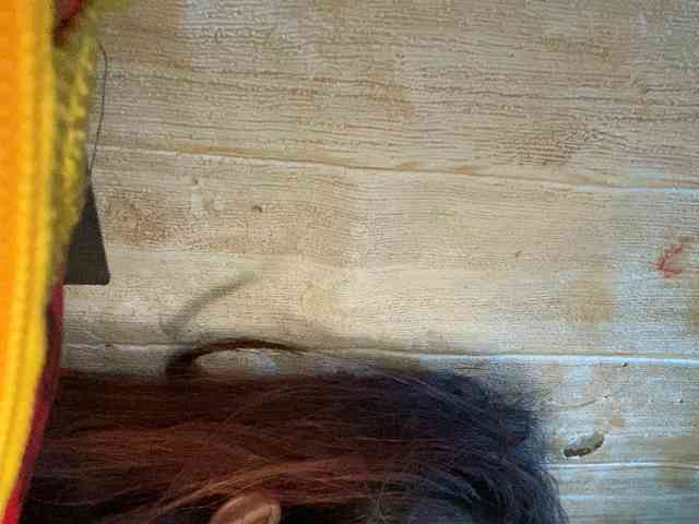Rainie webcam
