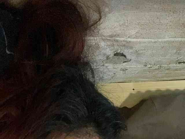 Rainie webcam