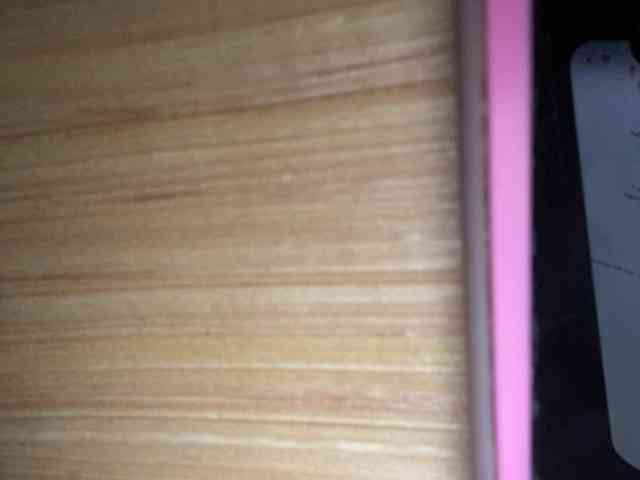 Rainie webcam
