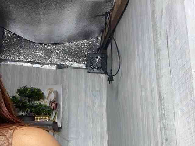Rainie webcam
