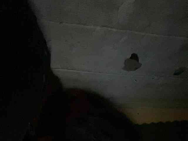 Rainie webcam