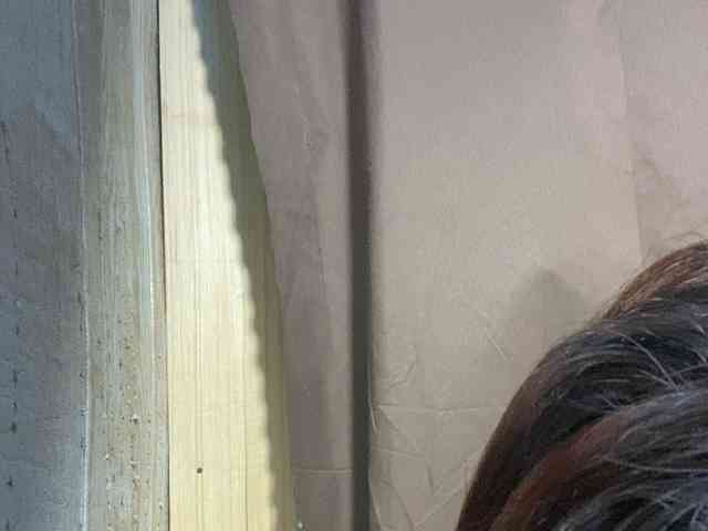 Rainie webcam