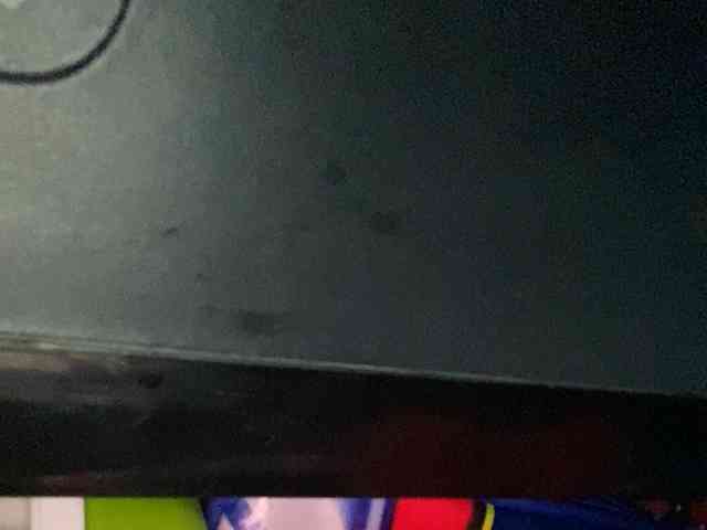 Rainie webcam