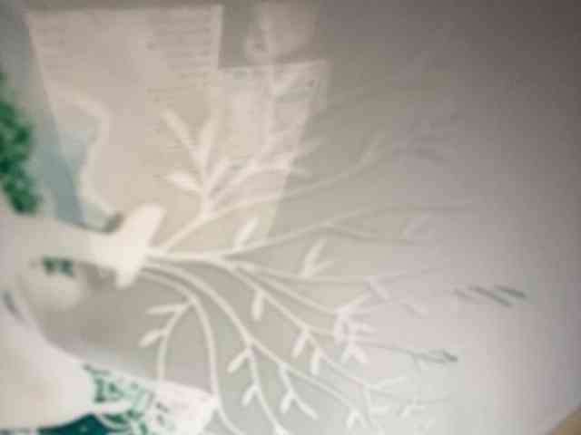 Rainie webcam