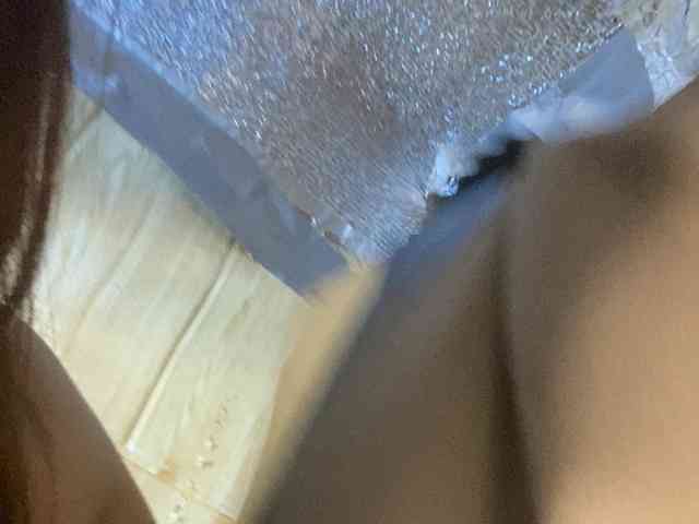 Rainie webcam