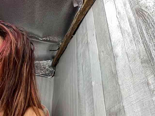 Rainie webcam