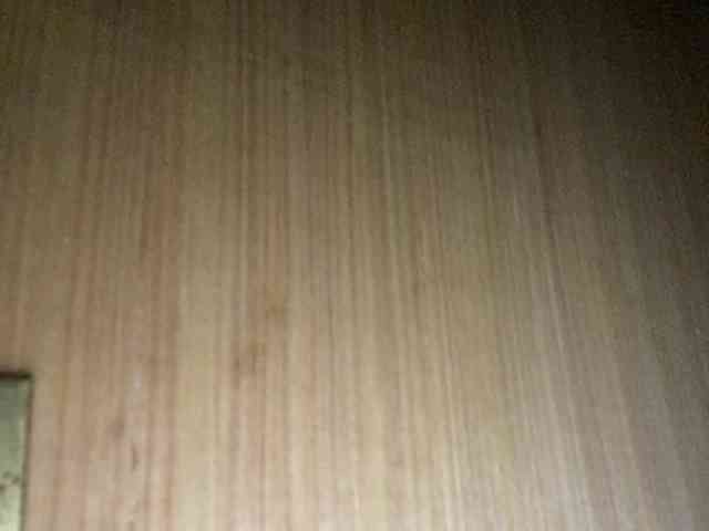 Rainie webcam