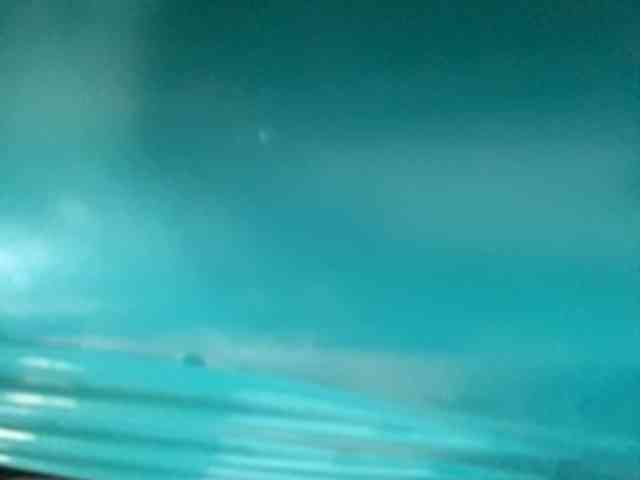 Rainie