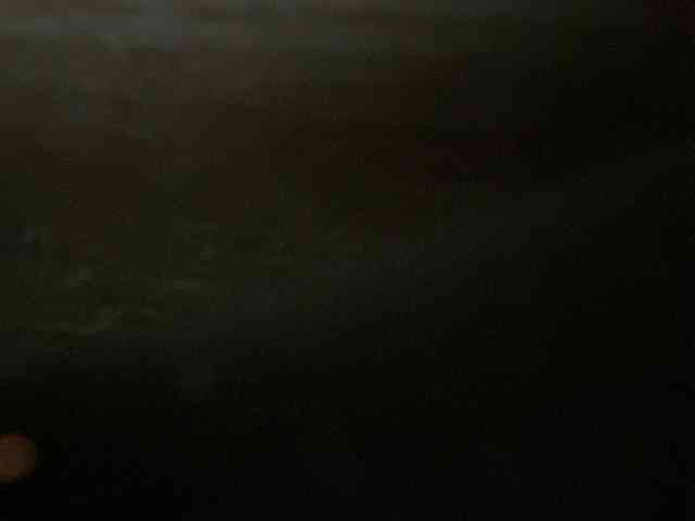 Rainie webcam