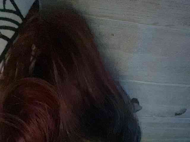 Rainie webcam
