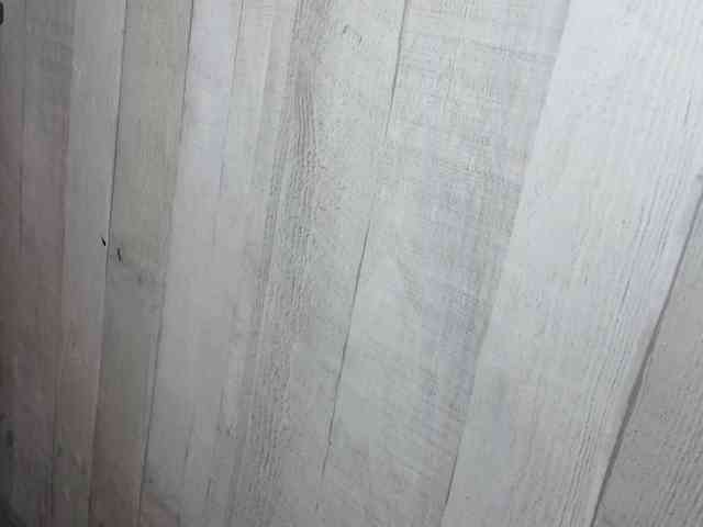 Rainie webcam