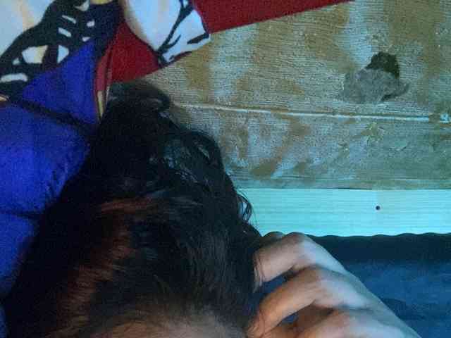 Rainie webcam