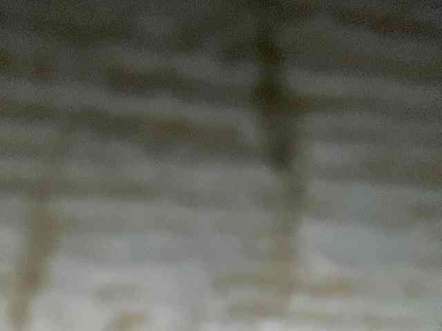 Rainie webcam