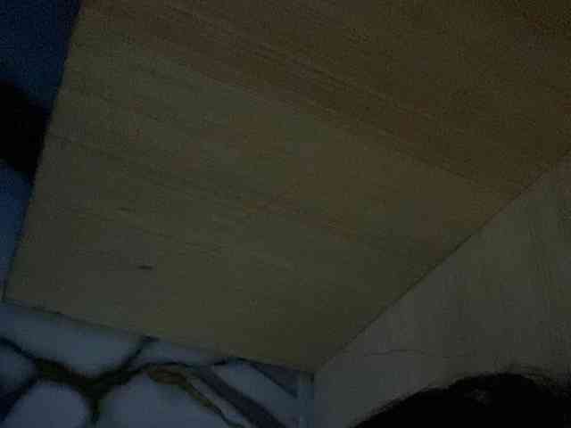 Rainie webcam
