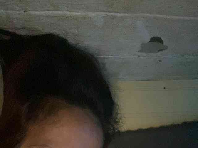 Rainie webcam