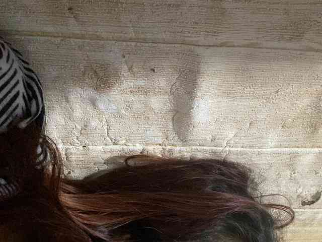 Rainie webcam