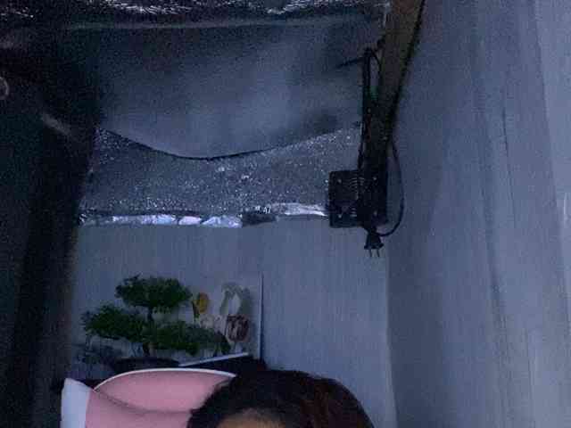 Rainie webcam