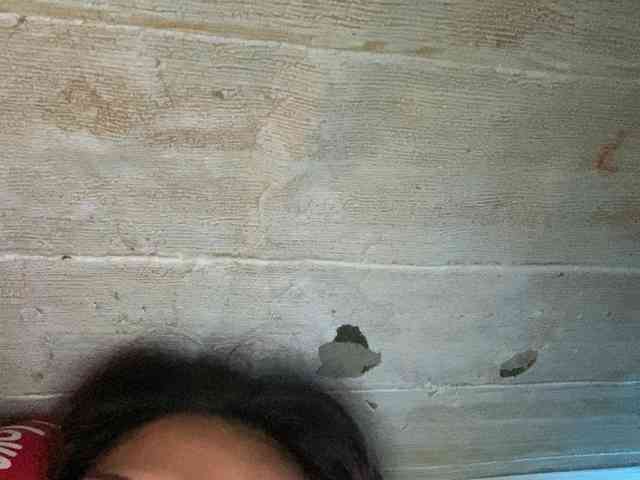 Rainie