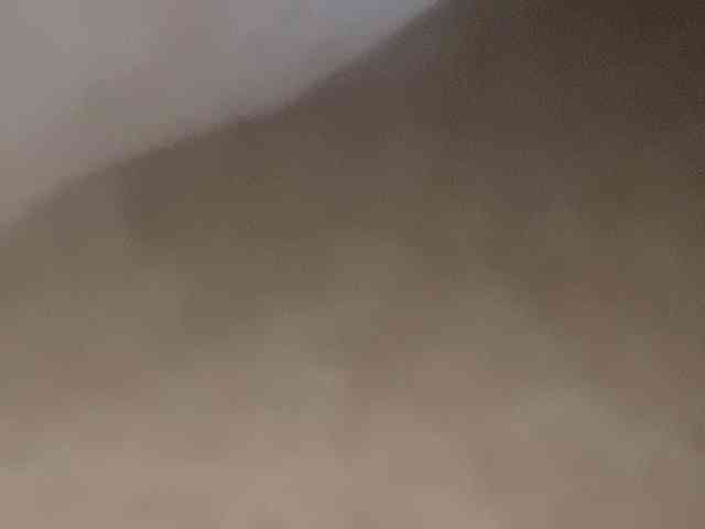 Rainie webcam