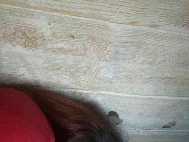 Rainie webcam