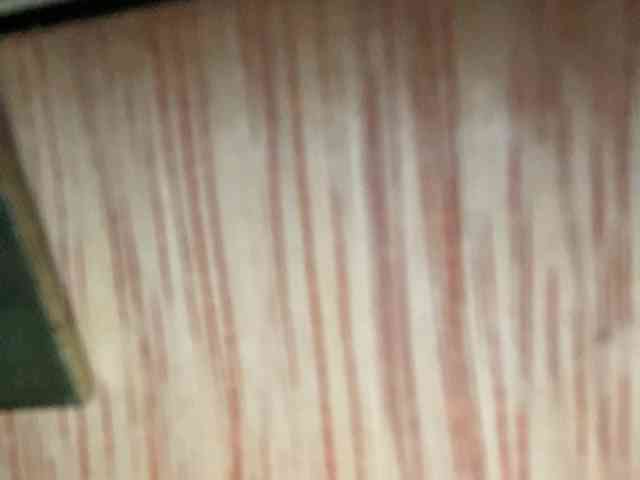 Rainie webcam