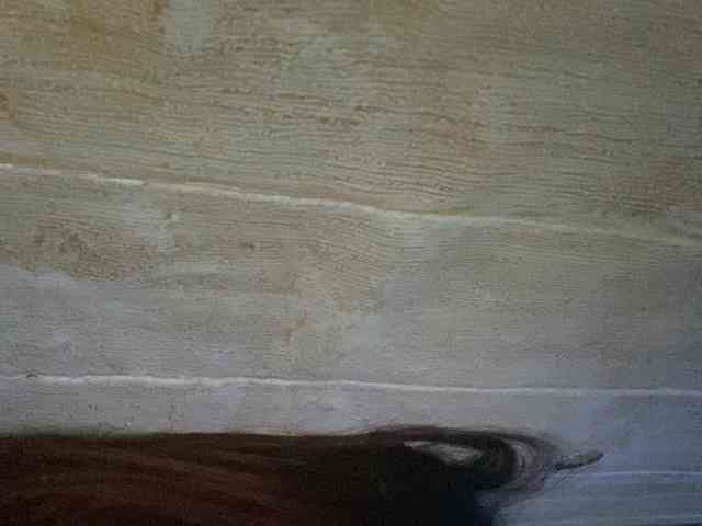 Rainie webcam